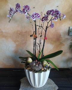 Planta de orquidea con pajarillos