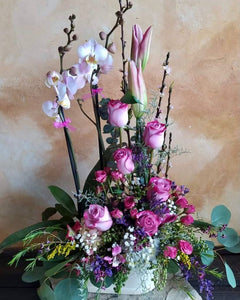 Planta de orquídea con rosas