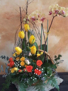 Canasta con orquídea y tulipanes