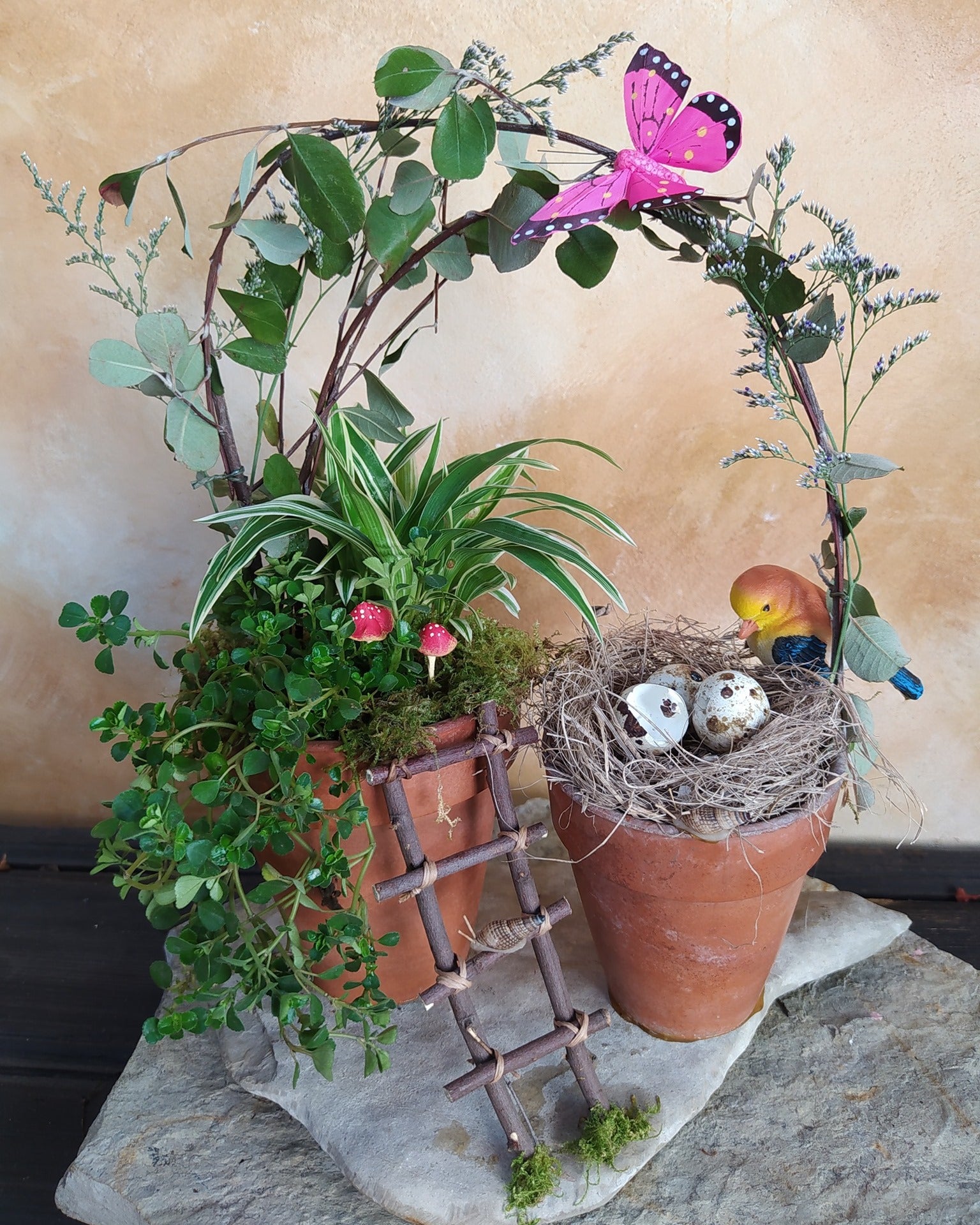 Plantas en jardín